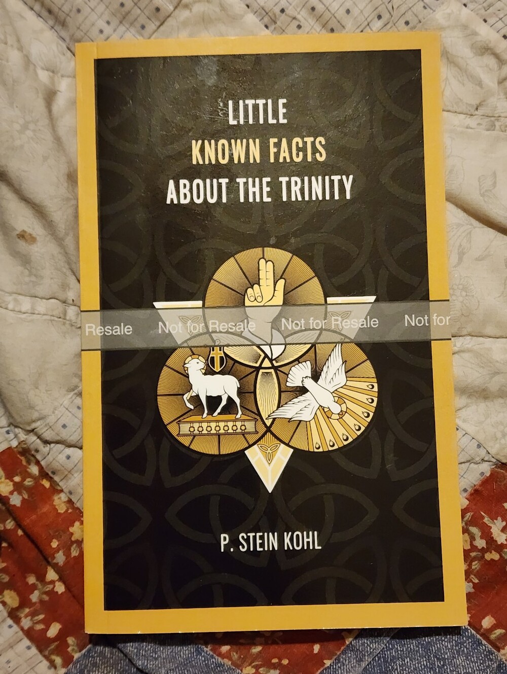 Little Known Facts About The Trinity By P. Stein Kohl Paperback